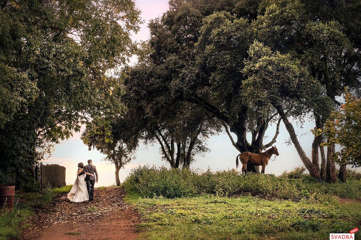 Boda en Barcelona